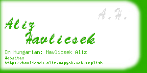 aliz havlicsek business card